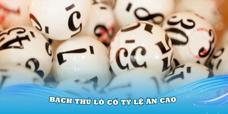 Bạch Thủ Lô có tỷ lệ ăn cao