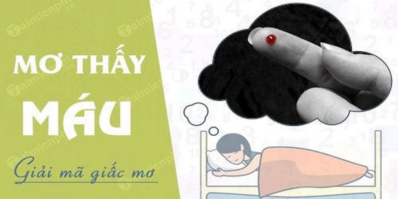 Giải Mã Giấc Mơ Thấy Máu Và Con Số Mang Lại Lợi Nhuận Khủng