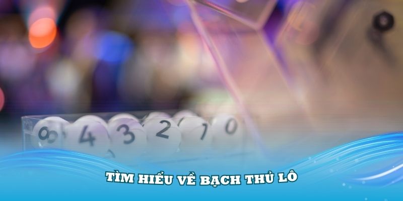 Tìm hiểu về Bạch Thủ Lô và nguồn gốc xuất hiện