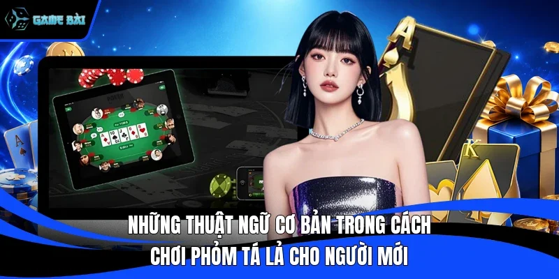 Những thuật ngữ cơ bản trong cách chơi phỏm tá lả cho người mới
